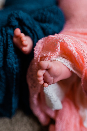 Hartwig Newborn