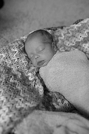 Hartwig Newborn
