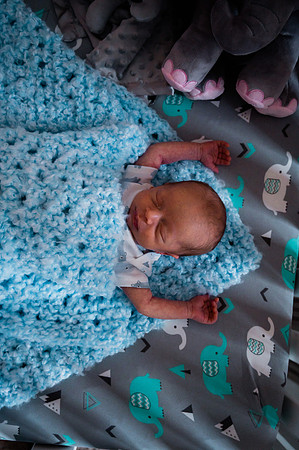 Hartwig Newborn