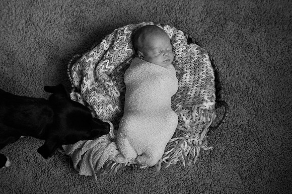 Hartwig Newborn