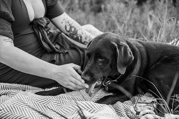 Charlie Puppy Photos