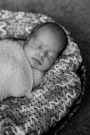 Hartwig Newborn