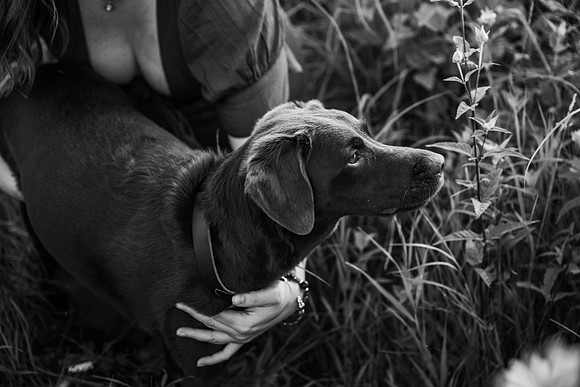 Charlie Puppy Photos