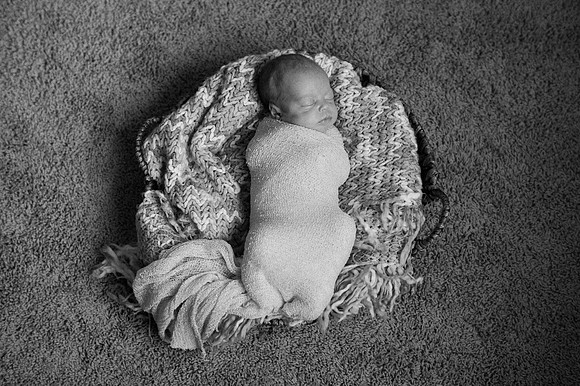 Hartwig Newborn