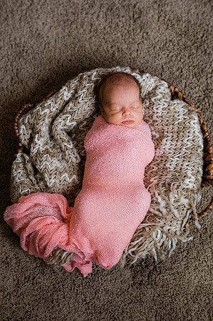 Hartwig Newborn