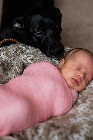Hartwig Newborn