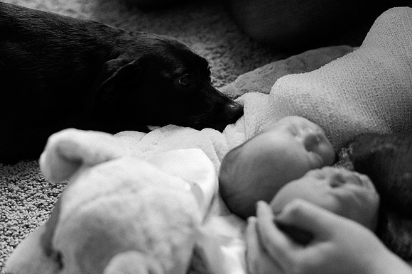 Hartwig Newborn