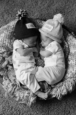 Hartwig Newborn