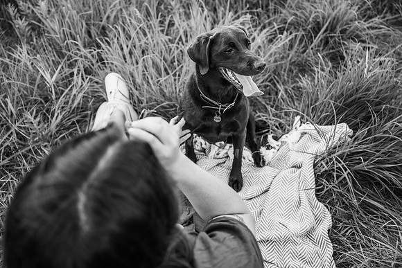 Charlie Puppy Photos