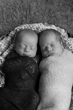 Hartwig Newborn