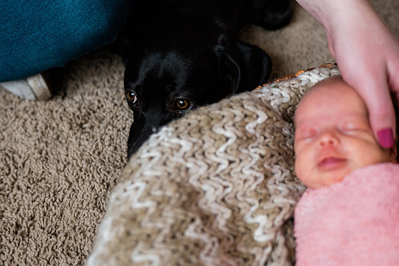 Hartwig Newborn