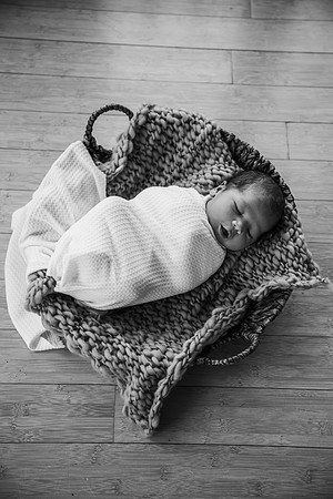 Newborn Session