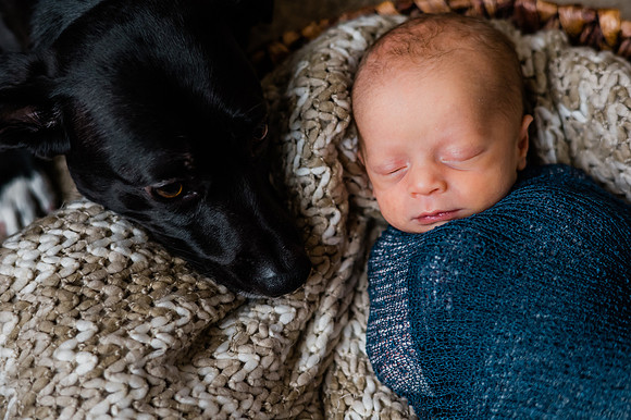 Hartwig Newborn