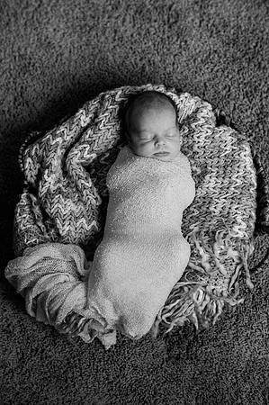 Hartwig Newborn