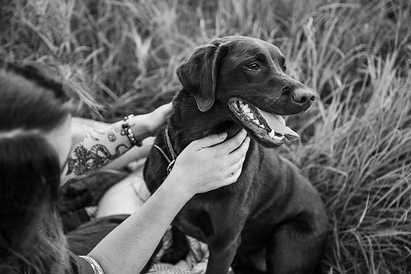 Charlie Puppy Photos