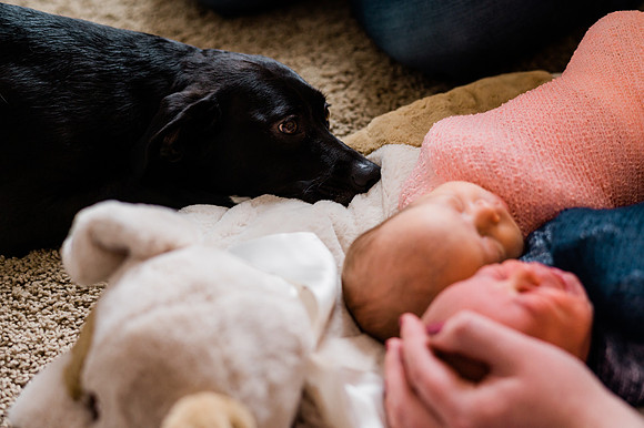 Hartwig Newborn