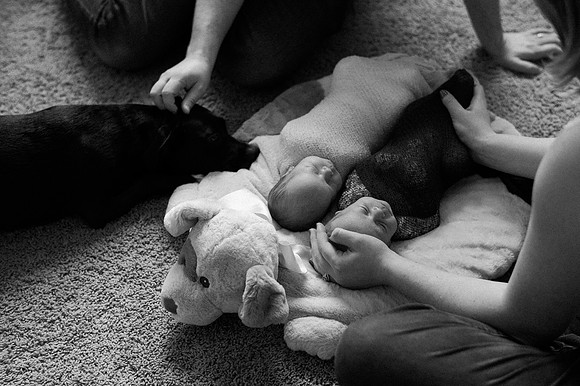Hartwig Newborn