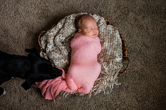 Hartwig Newborn