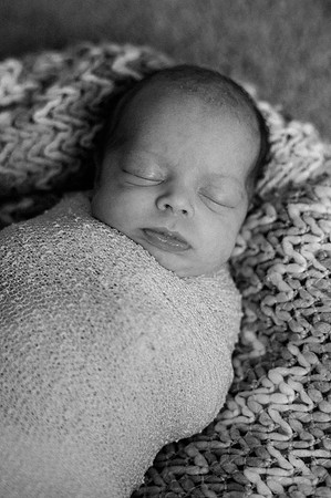 Hartwig Newborn