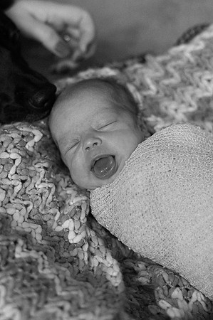 Hartwig Newborn