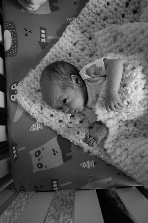 Hartwig Newborn
